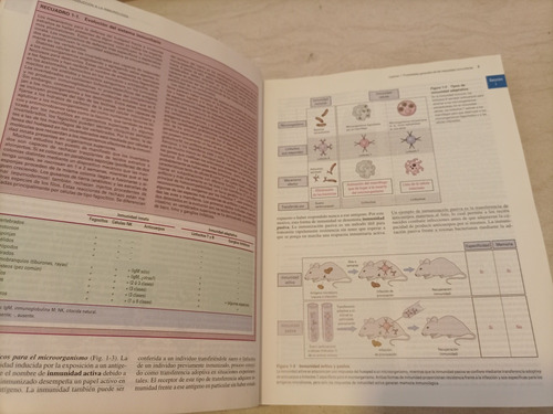Libro. Inmunología Celular Y Molecular. 4a Ed. Abbas. (Usado)