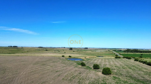 Venta De Campo De 150 Hectáreas En Curva Matonte Florida