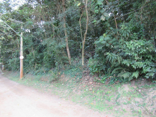 Imagem 7 de 11 de Granja Viana - Fazendinha - Te9441