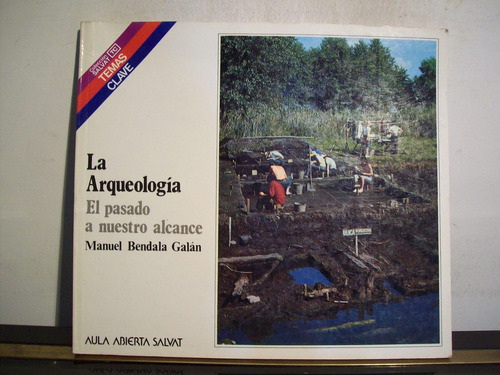 Adp La Arqueologia El Pasado A Nuestro Alcance Bendala Galan
