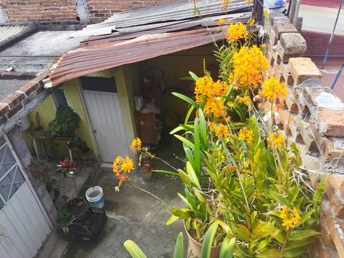 Casa En Venta En Ejidal Ocolusen