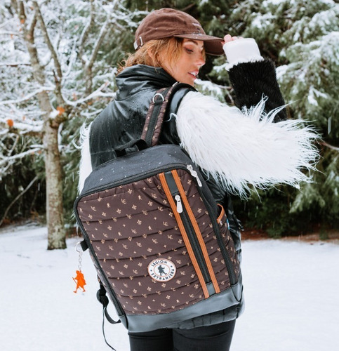 Imagen 1 de 10 de Mochila Nahuel Huapi Diamond Porta Notebook Epic