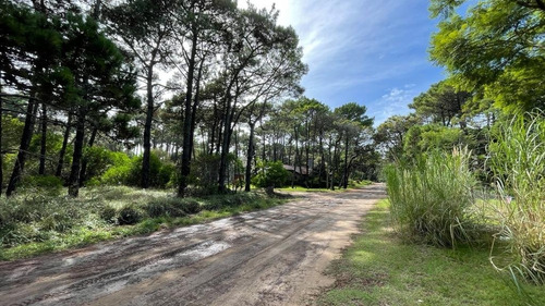 Imagen 13 de 16 de Lote Venta Z/ Norte Pinamar - Lote 11