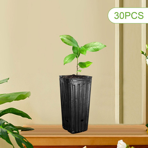 30 Piezas De Altura De De Árboles De Profundo De Árboles