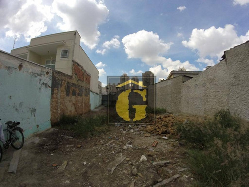 Imagem 2 de 4 de Terreno À Venda, 240 M² Por R$ 650.000 - Mooca - São Paulo/sp - Te0033