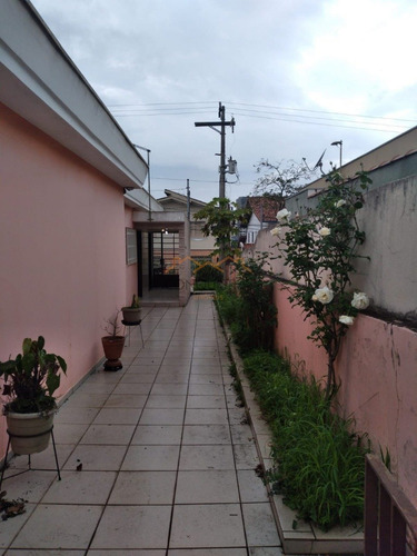 Imagem 6 de 15 de Terreno - Vila Duzzi - Ref: 3472 - V-5656