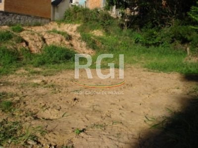 Terreno Em Vila Nova - Mf17869