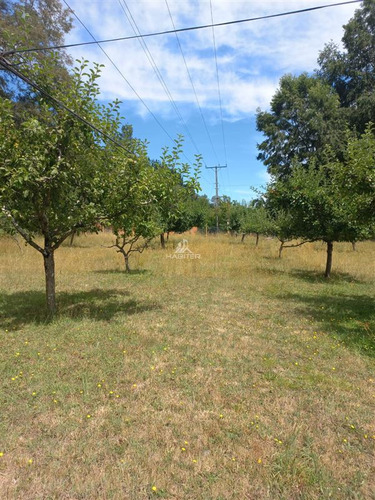 Imagen 2 de 30 de Agrícola Orilla Asfalto Con 5 Hectáreas En Venta En Cunco