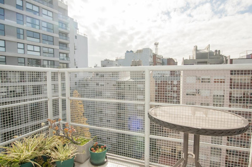 Imagen 7 de 24 de Departamento 2 Ambientes Con Balcón - Villa Urquiza