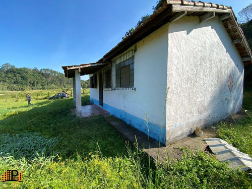Imagem 19 de 30 de Chácara À Venda 7.500m2 Terreno Contendo Agua, Energia Elétrica, Casa Localizada Na Estrada Dos Borges Bairro Barrinha - São Lourenço Da Serra/sp - Ch07793 - 70644167