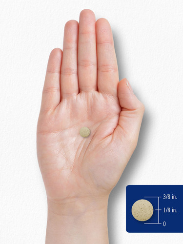 Suplemento Carlyle de glucosamina, condroitina, MSM, cúrcuma, 250 g