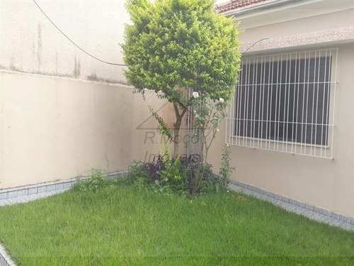 Imagem 4 de 11 de Terreno Vila Guilhermina São Paulo/sp - 1186