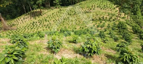 Finca Santa Cruz De Mora