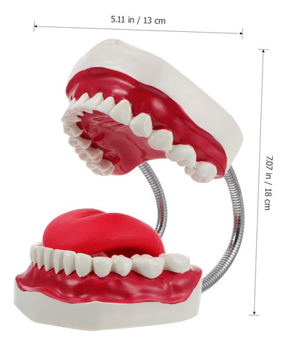 Cepillo Dental De Demostración Marca Sin Especificar Modelo Color