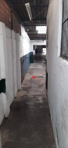 Imagem 10 de 23 de Excelente Terreno Para Alugar, 300 M² Por R$ 8.900/mês - Parque Santa Cecília - São Paulo/sp - Te0101