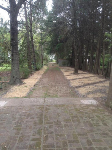 Imagen 7 de 30 de Quinta - Barrio Sakura - Lote 2400 M2 - Exaltacion De La Cruz