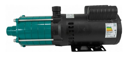 Motobomba Centrífuga Multiestágio 1,5 Cv 110/220v 4144.1 E