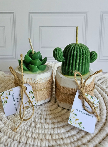12 Recuerdos Toda Ocasion Velas De Suculenta Personalizada