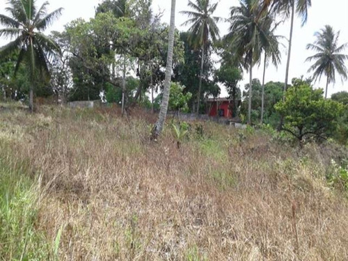 Imagem 6 de 15 de Terreno Com 9.974m2 Na Cia-aeroporto - Uni385 - 4496722