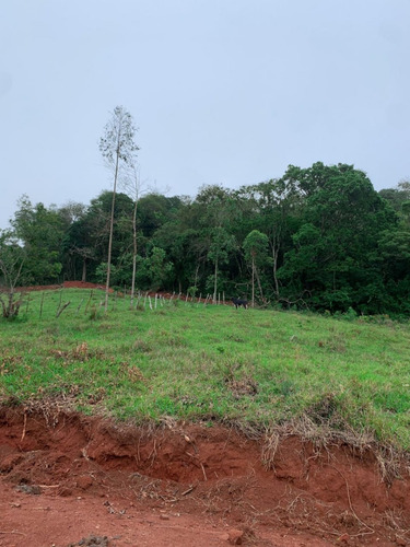 Imagem 6 de 14 de A26 Terreno Com Otima Negociação