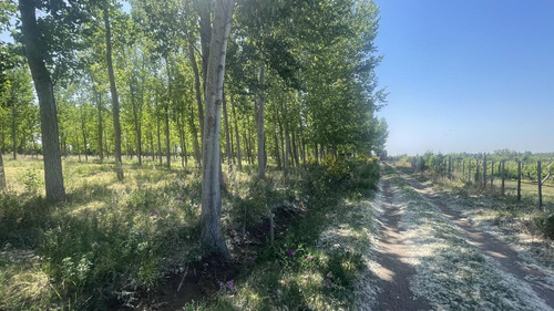 Imagen 22 de 26 de Finca En Las Paredes Con Bosque De Álamos, 2 Casas Y Galpón