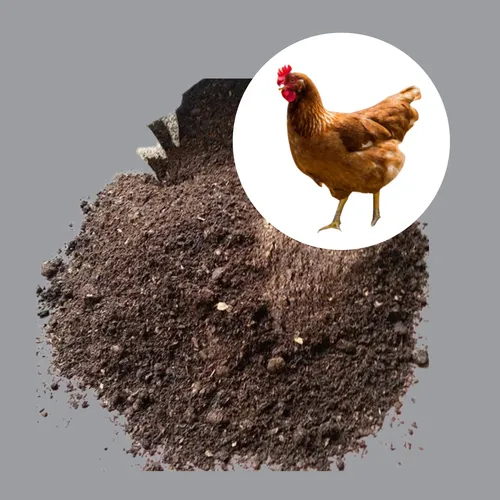 Adubo Esterco De Galinha 100% Orgânico Alto Padrão 5kg