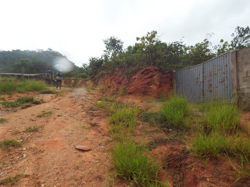 Lote Para Comprar No Pinhões Em Santa Luzia/mg - 3312