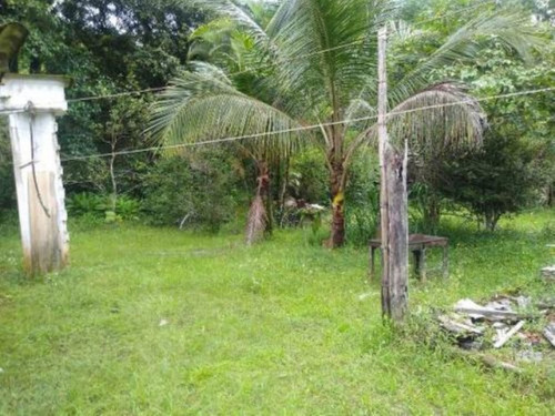 Imagem 7 de 9 de Chácara À Venda Em Peruíbe Com 24 Mil M².