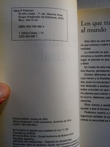 El Niño Cristal De Mara P. Feldman - Imaginador (usado) (Usado)