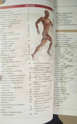 Atlas De Anatomía Student Master (nuevo)