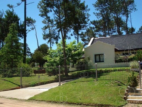 Imagen 7 de 21 de Casa De Gran Predio A 500mts Del Mar, San Rafael, Punta Del Este