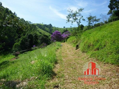 Imagem 13 de 30 de Sítio Sítio À Venda Em Taubaté/sp - 1386