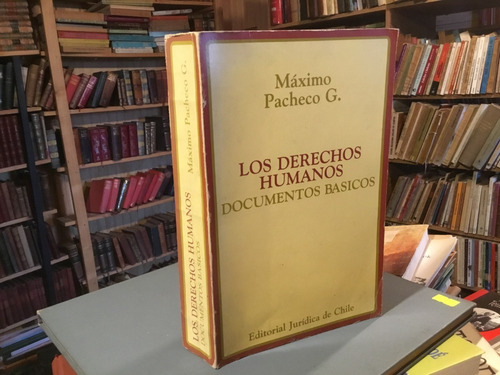 Los Derechos Humanos. Documentos Básicos. Máximo Pacheco