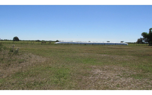 Imagen 9 de 30 de Campo Ganadero 3220 Ha - ( 420 Agrícolas ) Reconquista - Prov. De Santa Fe