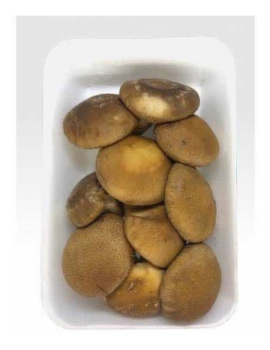 Imagem 2 de 5 de Shitake Direto Do Produtor Saco Com 1kg
