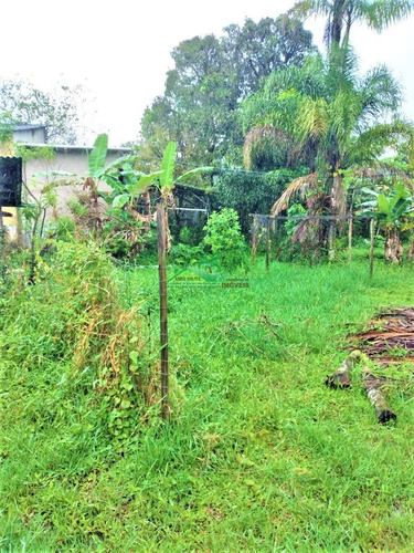 Imagem 4 de 30 de Chácara Á Venda Em Mongaguá!! - Ch0220