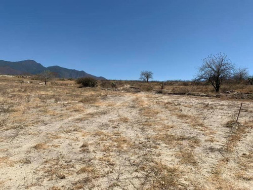 Imagen 4 de 4 de Terreno En Venta San Sebastián