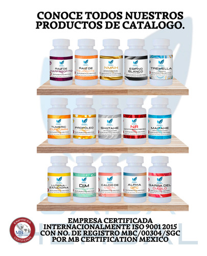 Bacopa Premium 450 mg 120 Cáps Saisa Herbal | Suplemento Alimenticio | Memoria, Concentración y Función Cognitiva
