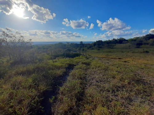 Imagem 19 de 27 de Fazenda Com 377 Tarefas Em Morro Do Chapéu - Bahia - Afd015 - 70334233