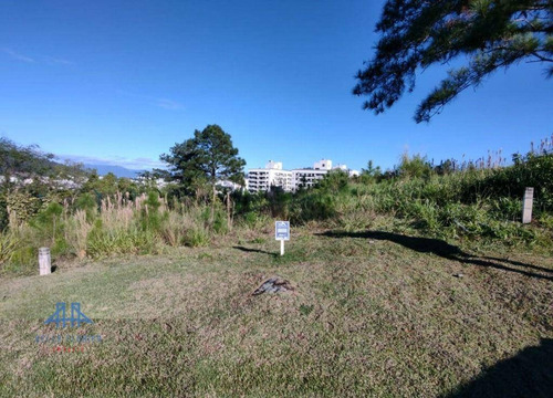 Imagem 4 de 26 de Terreno À Venda, 489 M² Por R$ 697.500,00 - Itacorubi - Florianópolis/sc - Te0085