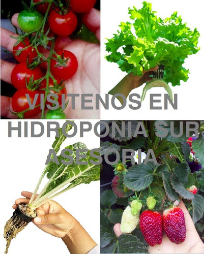 Imagen 2 de 3 de Solucion Hidroponia Para 100 Litros, Cultivos Hidroponicos