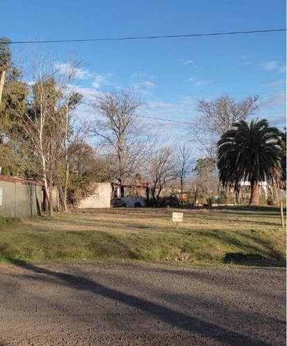 Venta De Lote En Luis Palacios, San Lorenzo