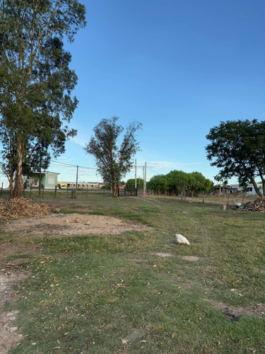 Vendo Casa De Tres Dormitorios Con Una Hectárea De Terreno