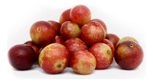 Semillas De Camu Camu En Polvo De 1kg - Rico En Vitamina C