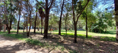 Campo 383 Ha En Conlara Merlo Lafinur San Luis. Con Riego Y Natural. Para Cría, Engorde, Tambo.