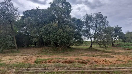 Terreno Localizado No Residencial Ecopark - Tatui