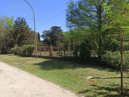 Imagen 6 de 6 de Terreno En Venta En Pereyra