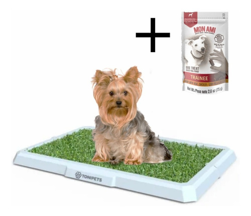 Bandeja Sanitaria Mini Tonipets Hembra Perros Xs + Snack