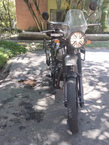 Royal Himalayan En Un Exce Estado Único Dueño De Agencia