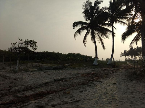 Venta Terreno 200 Hectáreas Playa A Laguna Tamiahua Veracruz